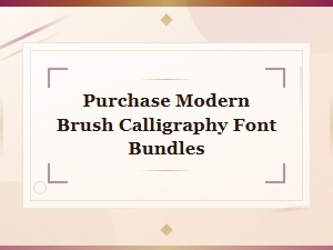 Modern Brush Calligraphy Font Bundles for Creative Designers